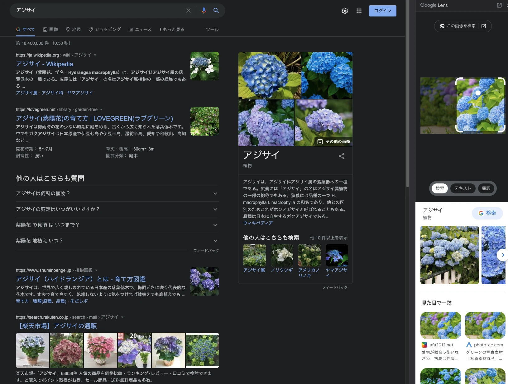 5cd03a2d186341138e2eaa6f424eaf20